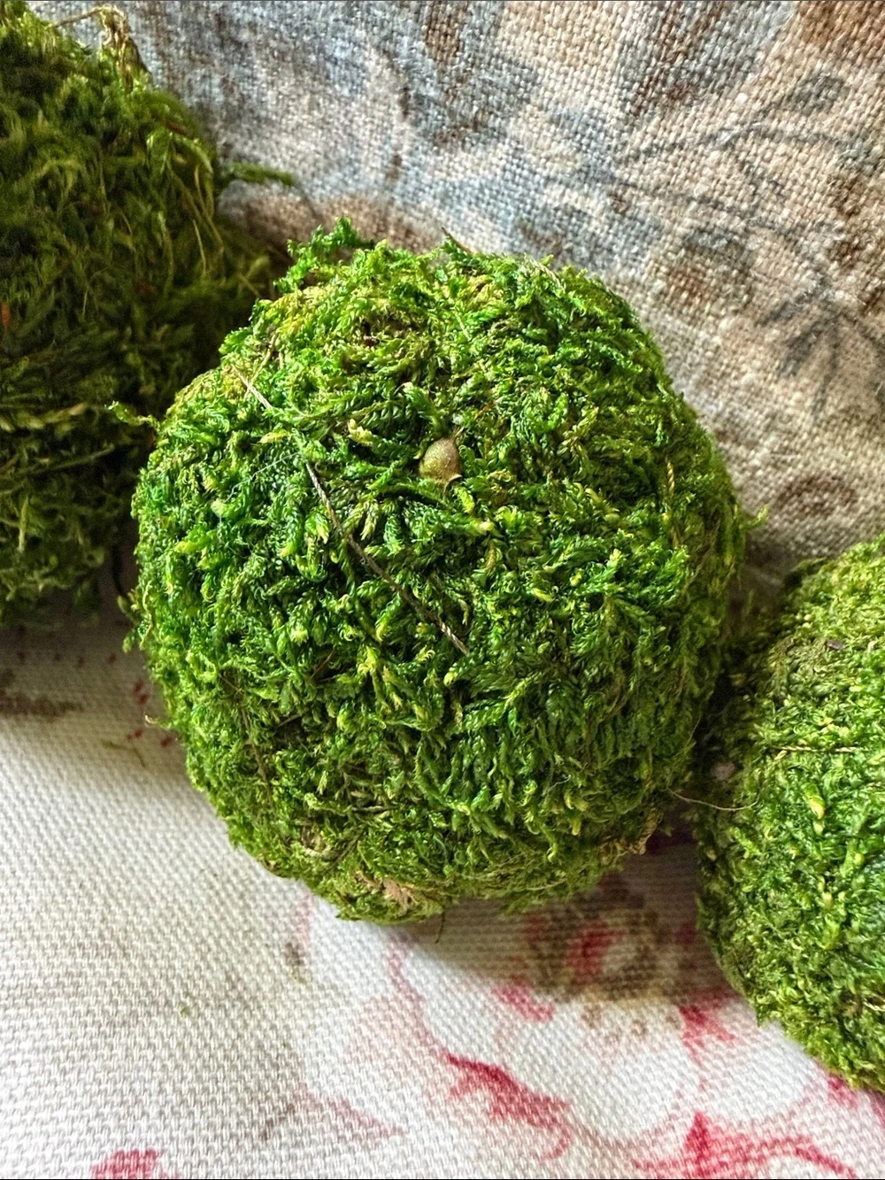 Decorative Moss Balls - Green Home Accent Set